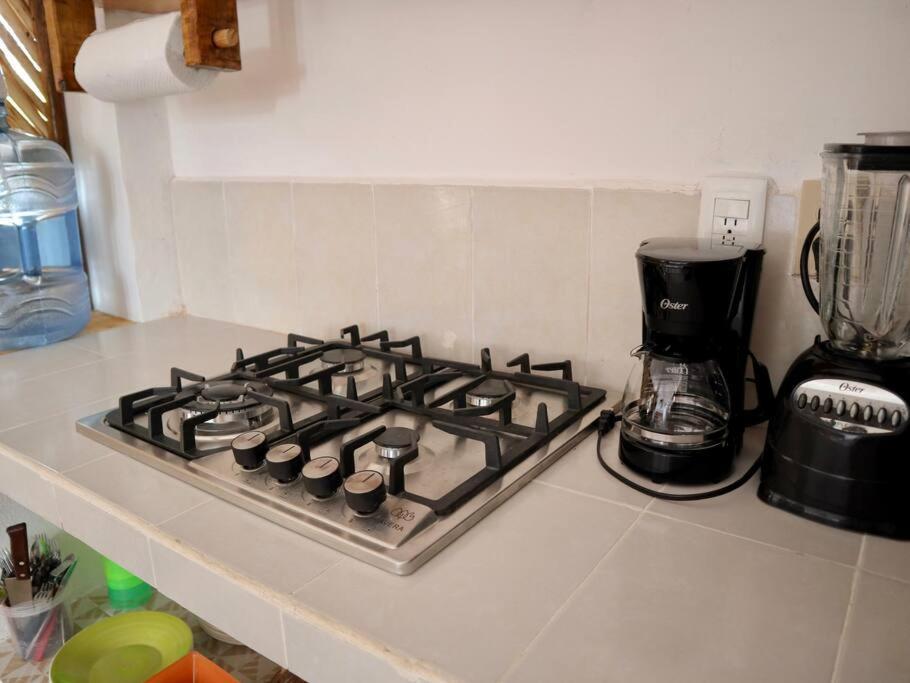 1-7 Ppl, Starlink, Mini-pool & Terrace Apartamento