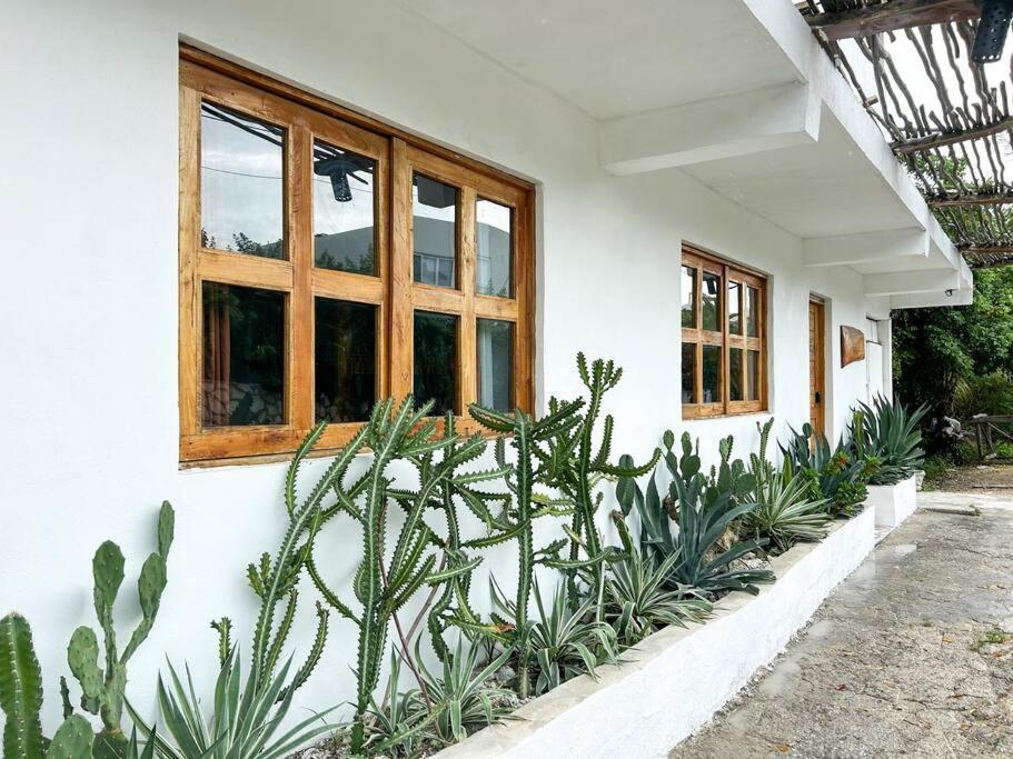 Apartamento 1-7 Ppl, Starlink, Mini-pool & Terrace