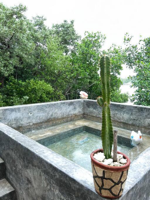 1-7 Ppl, Starlink, Mini-pool & Terrace Isla Mujeres