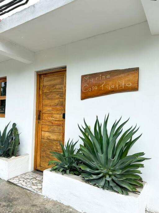 Apartamento 1-7 Ppl, Starlink, Mini-pool & Terrace *
