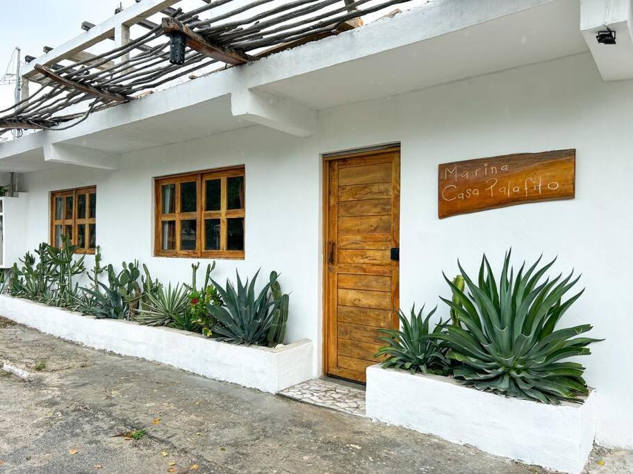 1-7 Ppl, Starlink, Mini-pool & Terrace Apartamento Isla Mujeres